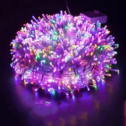 Гірлянда LED 24V Мультиколор на мідному дроті 20–100 м, 200–800 LED, без трансформатора, IP66