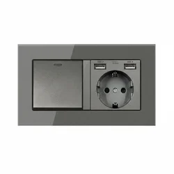 Розетка з вимикачем світла з двома портами USB-A EIOMR, темно сіра матова, європейський стандарт, 16A