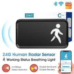WiFi 24GHz мм-хвильовий датчик присутності людини з дисплеєм