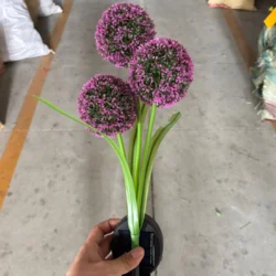 Садовий світильник «Кульбаба» на сонячній батареї, три квітки, фіолетовий