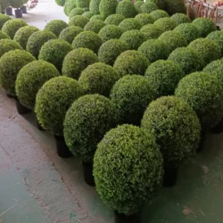 Декоративне штучне дерево куля у горщику